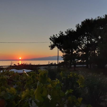 Το Σπίτι Με Το Πηγάδι - Wellcottage Thassos Skála Kallirákhis Dış mekan fotoğraf
