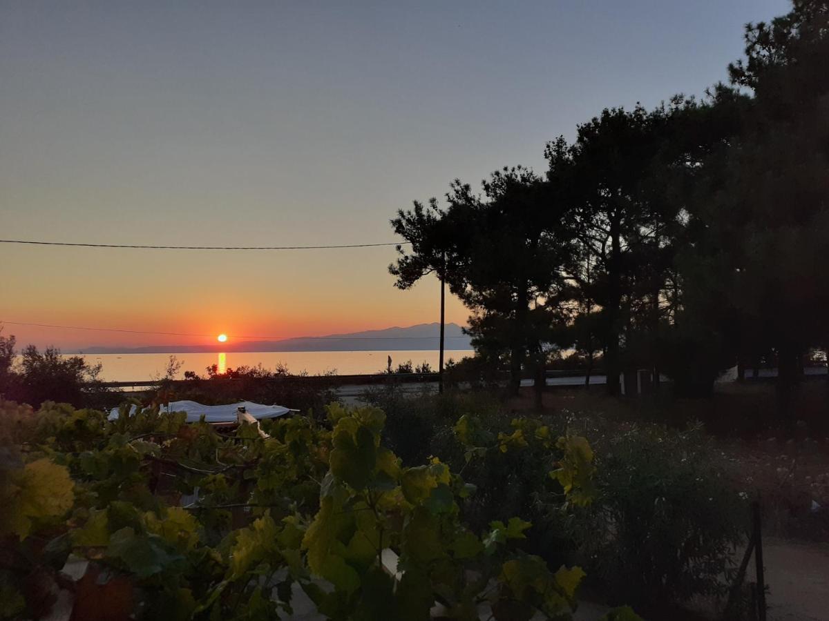 Το Σπίτι Με Το Πηγάδι - Wellcottage Thassos Skála Kallirákhis Dış mekan fotoğraf