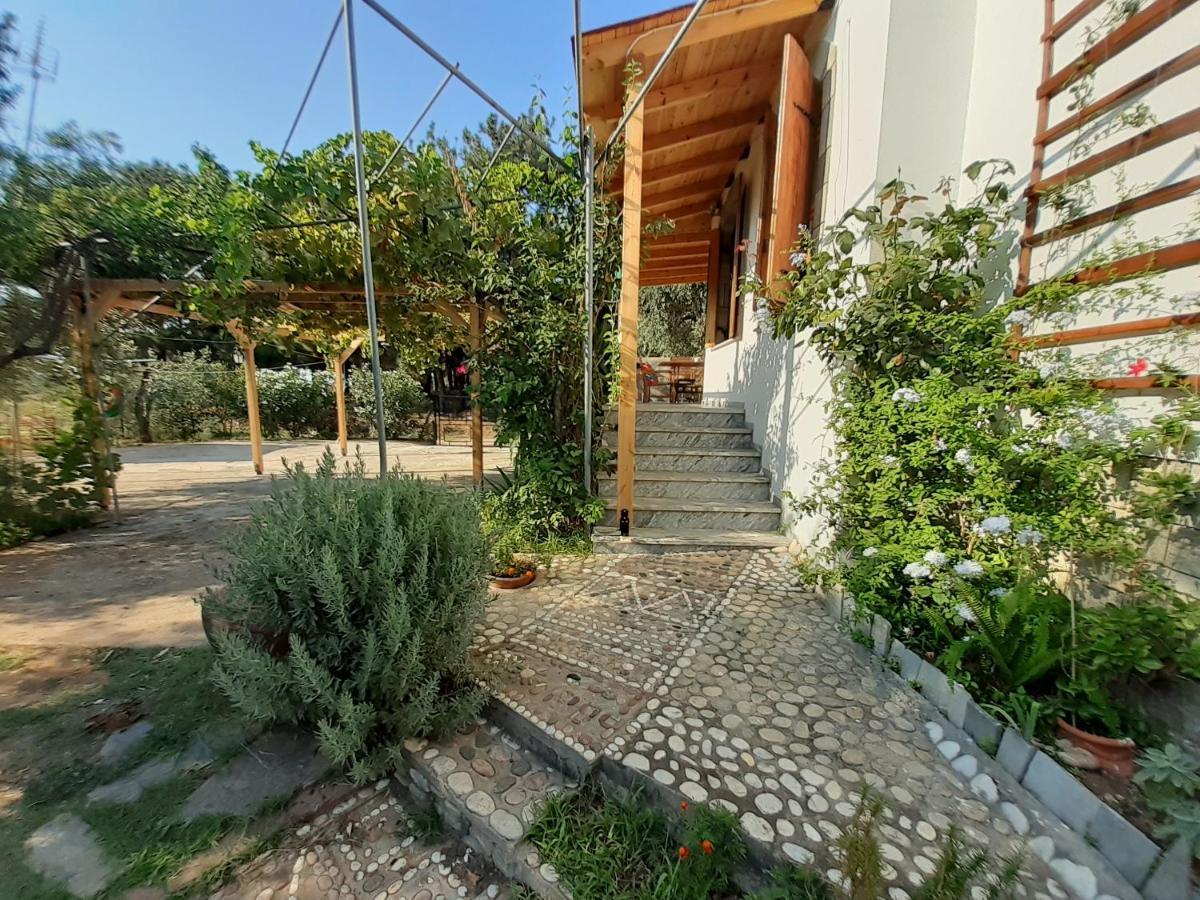 Το Σπίτι Με Το Πηγάδι - Wellcottage Thassos Skála Kallirákhis Dış mekan fotoğraf
