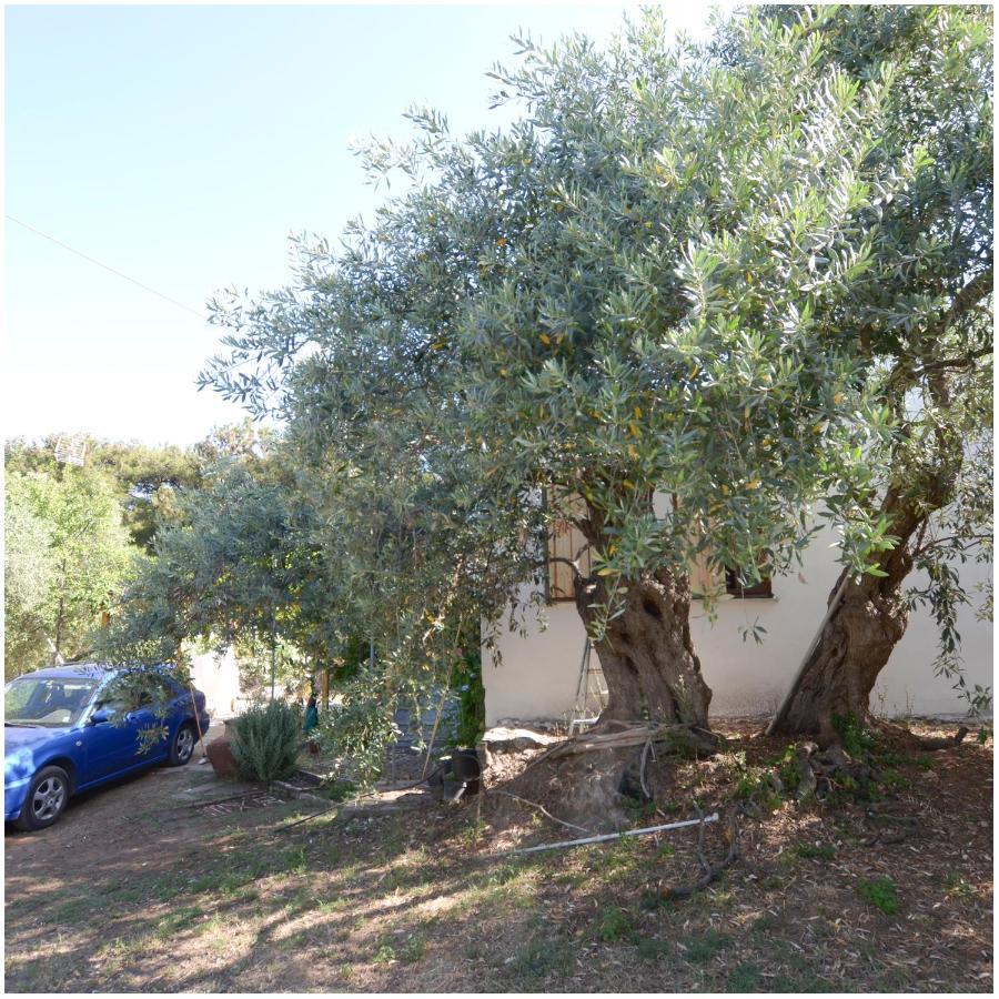 Το Σπίτι Με Το Πηγάδι - Wellcottage Thassos Skála Kallirákhis Dış mekan fotoğraf