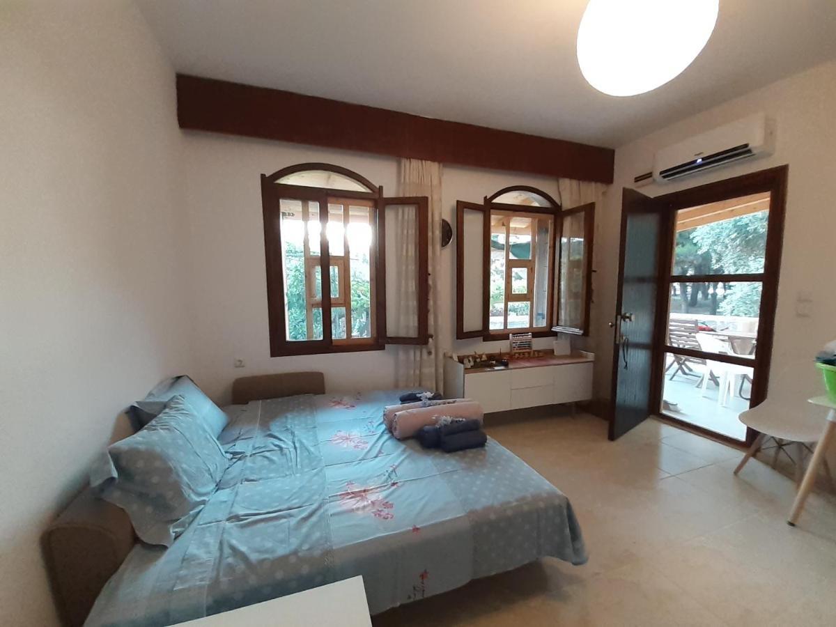 Το Σπίτι Με Το Πηγάδι - Wellcottage Thassos Skála Kallirákhis Dış mekan fotoğraf